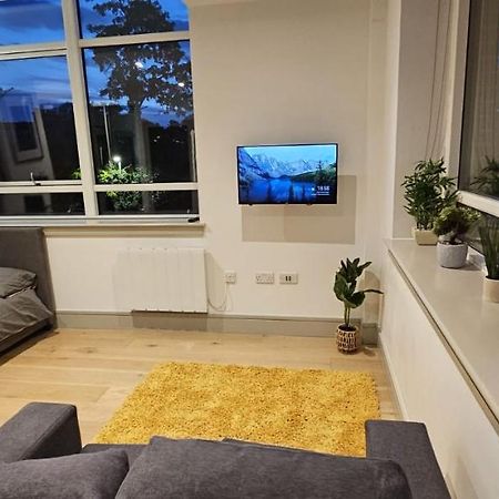 Studio Flat In Tottenham Londýn Exteriér fotografie